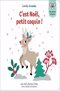 C'est Noel, petit coquin!