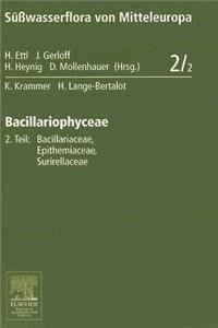Süßwasserflora Von Mitteleuropa, Bd. 02/2: Bacillariophyceae