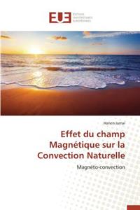 Effet Du Champ Magn?tique Sur La Convection Naturelle