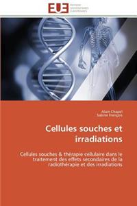 Cellules souches et irradiations