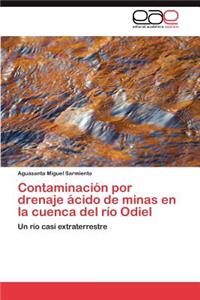 Contaminación por drenaje ácido de minas en la cuenca del río Odiel