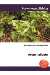Arum Italicum