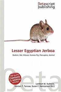 Lesser Egyptian Jerboa