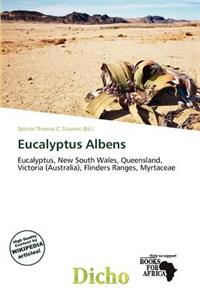 Eucalyptus Albens