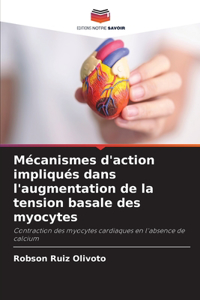 Mécanismes d'action impliqués dans l'augmentation de la tension basale des myocytes