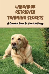 Labrador Retriever Training Secrets