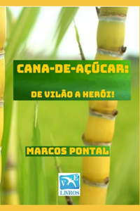 Cana-de-açúcar