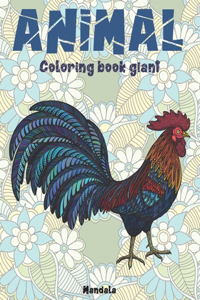 Mandala Coloring Book Giant - Animal