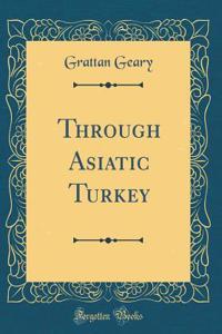 Through Asiatic Turkey (Classic Reprint)