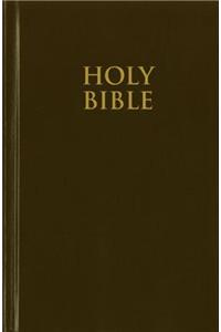 Church Bible-NIV