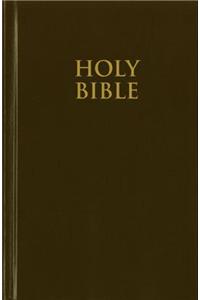 Church Bible-NIV