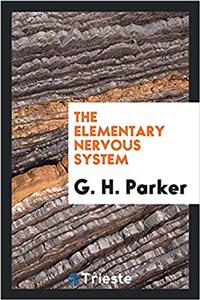 The elementary nervous system