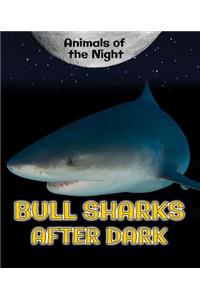 Bull Sharks After Dark