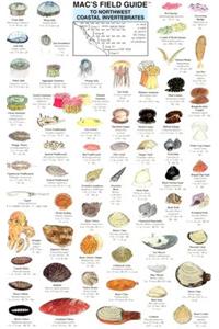 Mac's Field Guides: Northwest Coastal Invertebrates