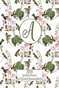 2020 Weekly Planner - Red Headed Hummingbirds - Personalized Letter A - 14 Month Large Print