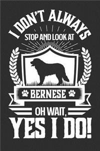 I Don't Always Stop and Look At Bernese OH Wait, Yes I Do!