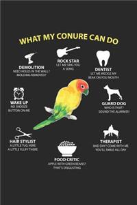 What my Conure can do