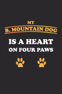 My B. Mountain Dog is a heart on four paws
