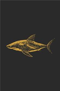 Shark Drawing