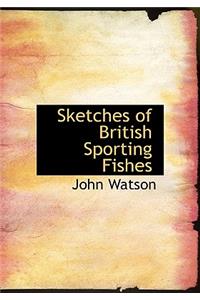 Sketches of British Sporting Fishes