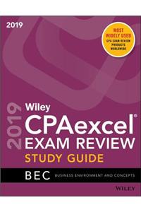 Wiley CPAexcel Exam Review 2019 Study Guide