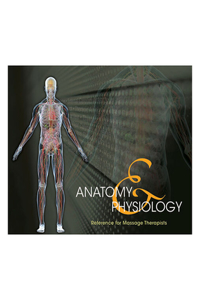Anatomy & Physiology Reference for Massage Therapists, Spiral Bound Version