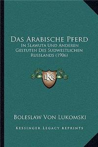 Arabische Pferd