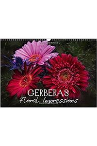 Gerberas Floral Impressions 2017