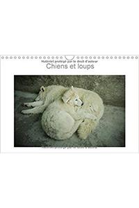 Chiens Et Loups 2017