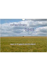 Extraordinary Trees (UK Version) 2018