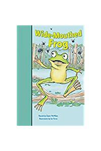 Wide-Mouthed Frog
