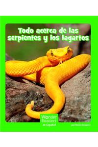 Todo Acerca de Las Serpientes Y Los Lagartos