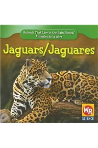 Jaguars / Jaguares