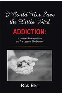 I Could Not Save the Little Bird