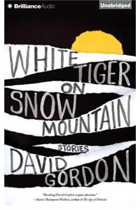 White Tiger on Snow Mountain