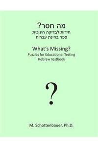 What's Missing? Puzzles for Educational Testing