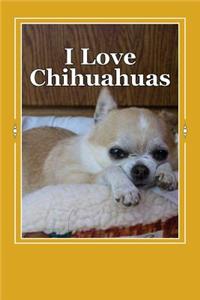 I Love Chihuahuas