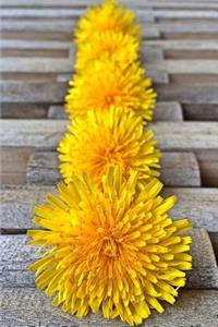 Yellow Dandelions Still Life Flower Journal