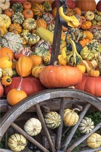 Pumpkins and Squash at the Farmer's Market Journal