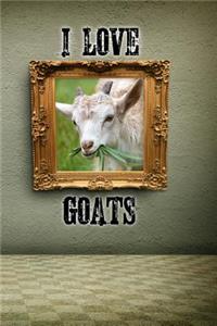 I Love Goats