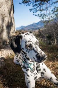 Such a Cute Dalmatian Dog Pet Journal