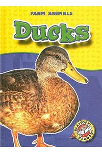 Ducks