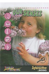 Our Senses