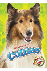 Collies
