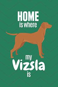 Home is where my Vizsla is