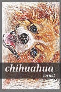 chihuahua carnet