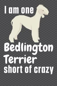 I am one Bedlington Terrier short of crazy
