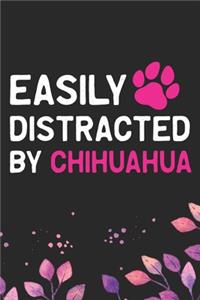 Easily Distracted by Chihuahua