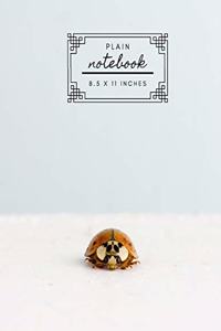 Plain Notebook 8.5 x 11 Inches