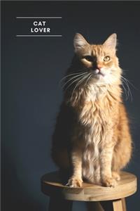 Cat Lover